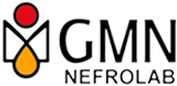 Logo GMN