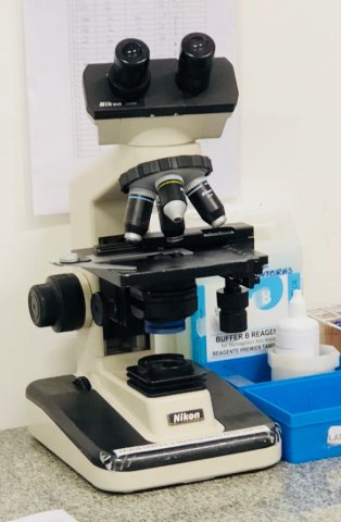 Hematologia - Revisão de Lámina