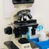 Hematologia - Revisão de Lámina